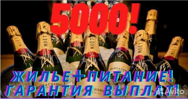 Легкая работа вахтой от 15 смен с жильем и питание