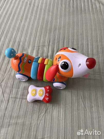 Собака на радиоуправлении, говорящая