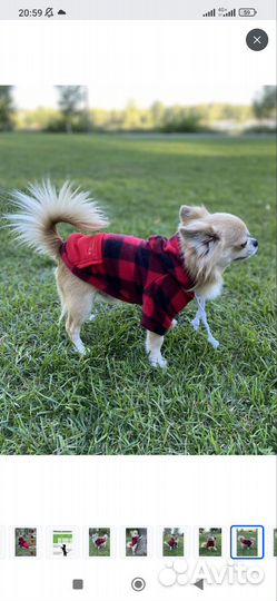 Кофта для собак