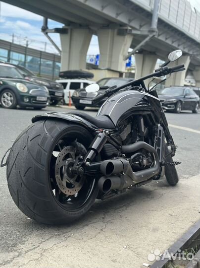 Harley Davidson vrscdx N