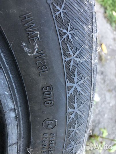 Barum Polaris 3 195/65 R15 95T