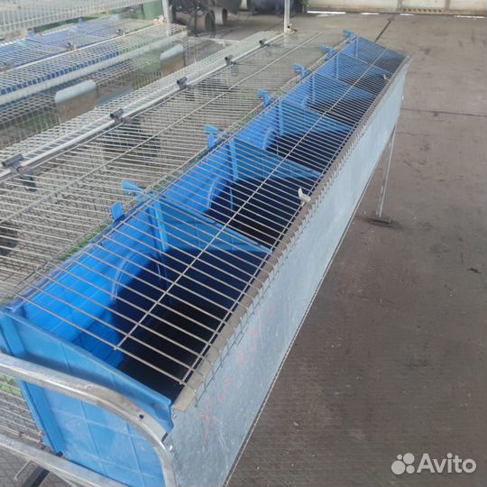 Клетки для кроликов