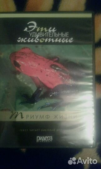 Видео о жизни животных