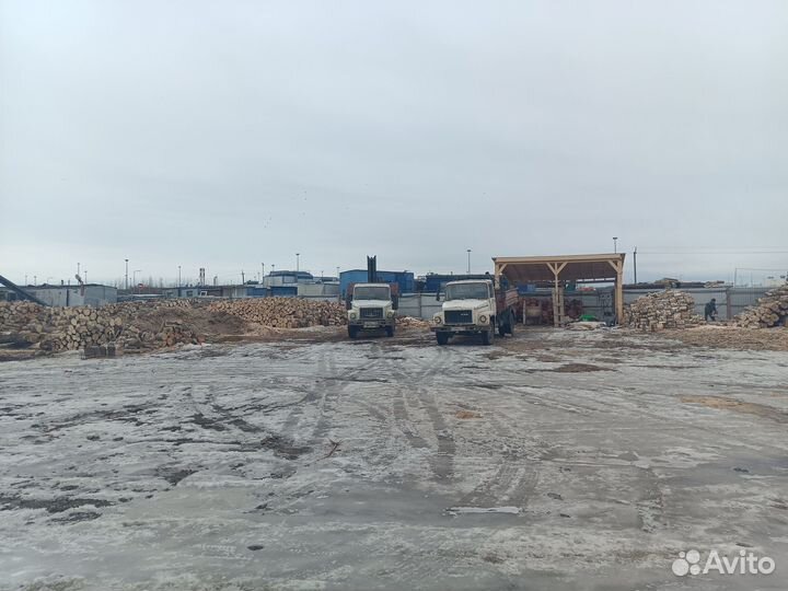 Дрова осиновые от 6м3