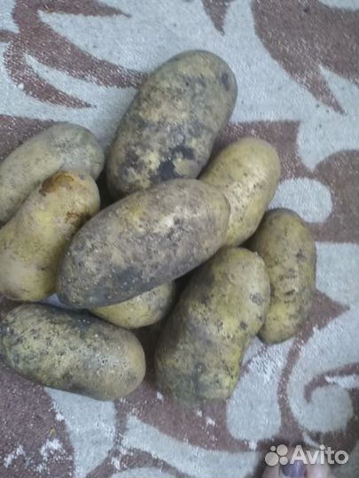 Продам картофель с доставкой