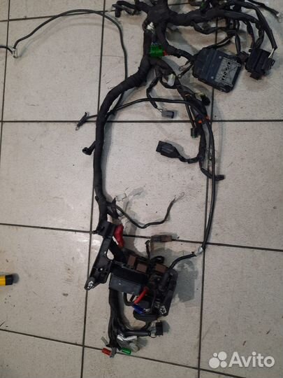 Жгут проводов KTM Duke 390 2019