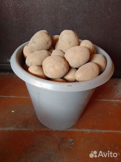Продукты питания