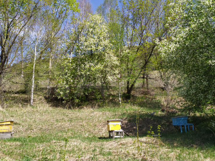 Дом 90 м² на участке 14 сот.