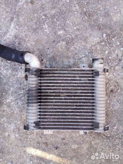 Радиатор интеркулера hyundai starex h1
