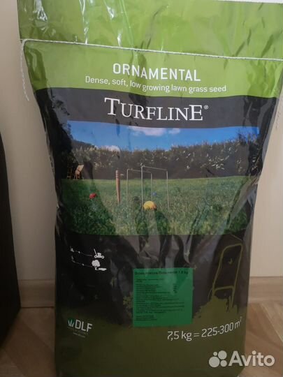 Семена газонной травы