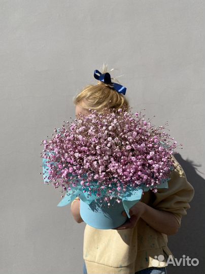 Гипсофила в коробке