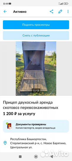 Телята бычки телки молодняк коровы быки