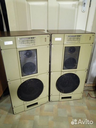 Акустические колонки радиотехника S-90B