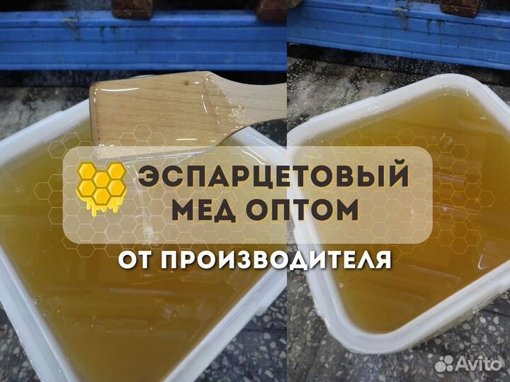 Свежий мёд эспарцетовый Качка 2023 опт