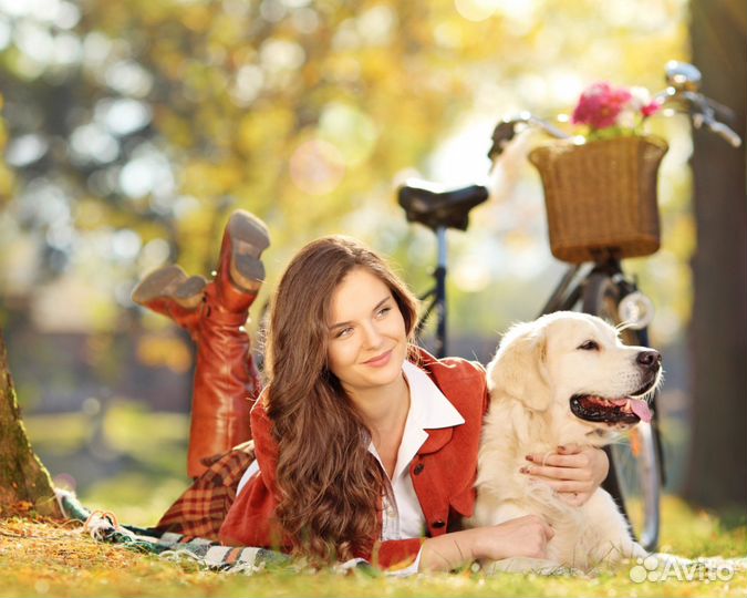Передержка собак в семье не зоогостиница