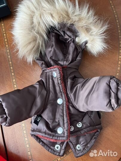 Одежда для маленьких собак