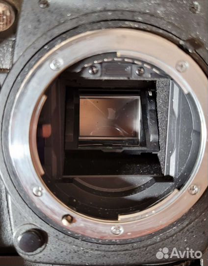 Nikon d7000 + mb-d11