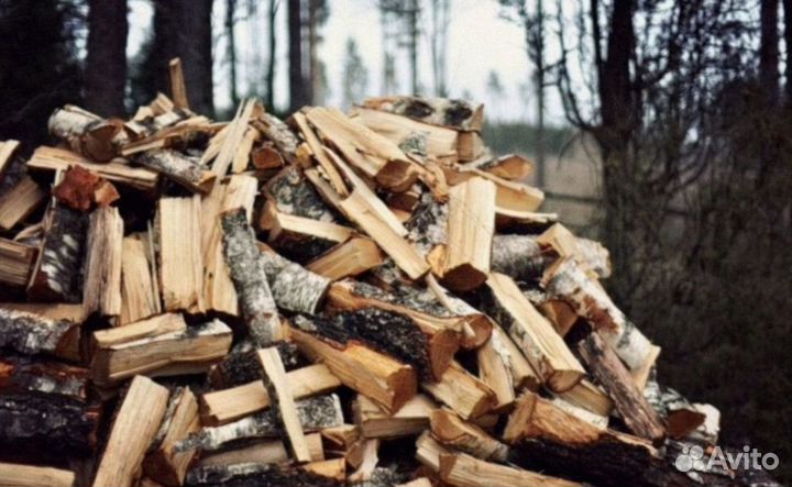 Дрова березовые