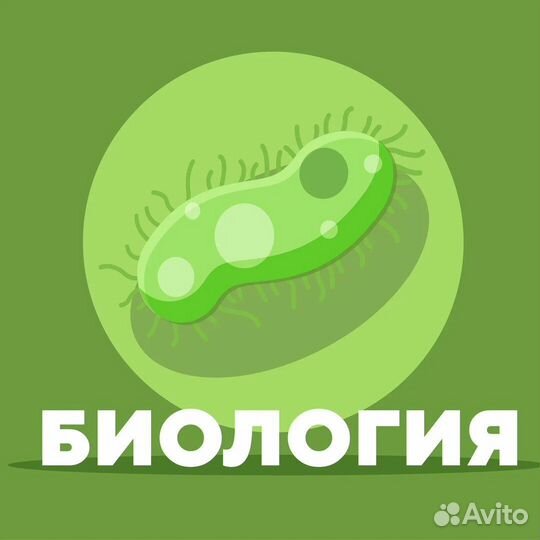 Репетитор по Биологии ОГЭ и Окружающему миру