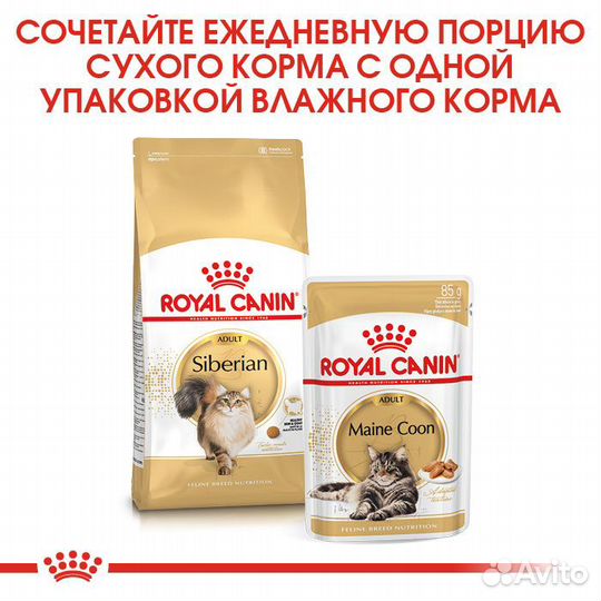 Royal Canin сухой для взрослых кошек породы Сибирс