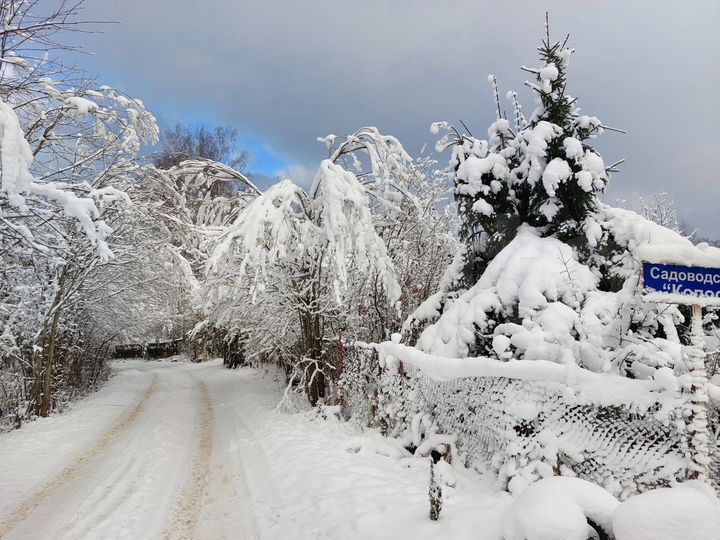 Участок 6,1 сот. (СНТ, ДНП)