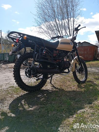 Colt