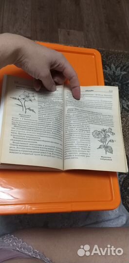 Растения цветы. Книга про растения