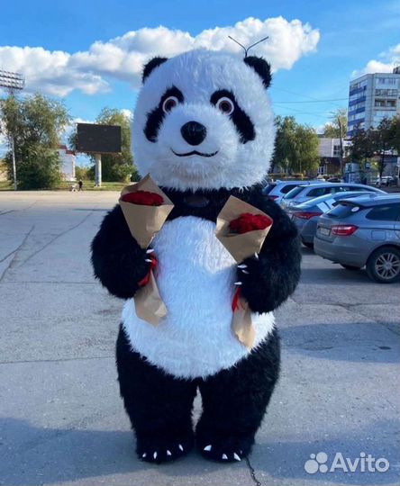 Аниматор, ростовая кукла, панда, поздравление