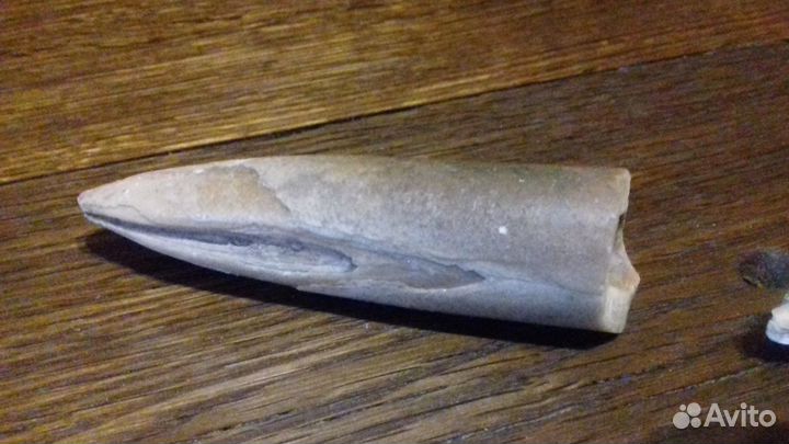 Белемниты(чертов палец.зуб дракона)