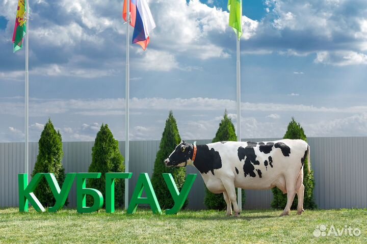 Оператор по искусственному осеменению