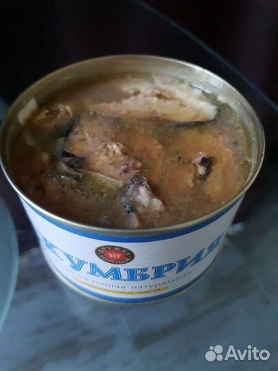 Скумбрия Дружба Народов