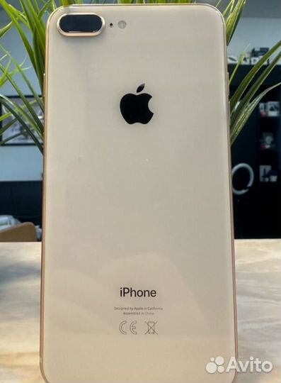 iPhone 8 Plus, 256 ГБ
