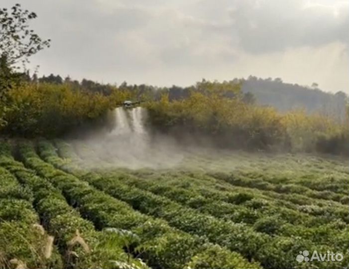 Обработка полей дронами, внесение сзр