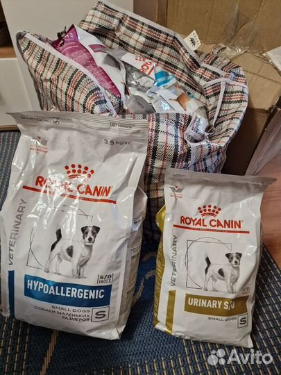 Корм для собак