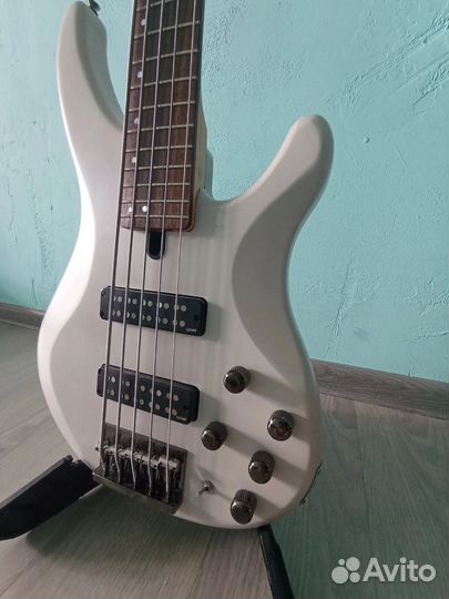 Yamaha trbx 505