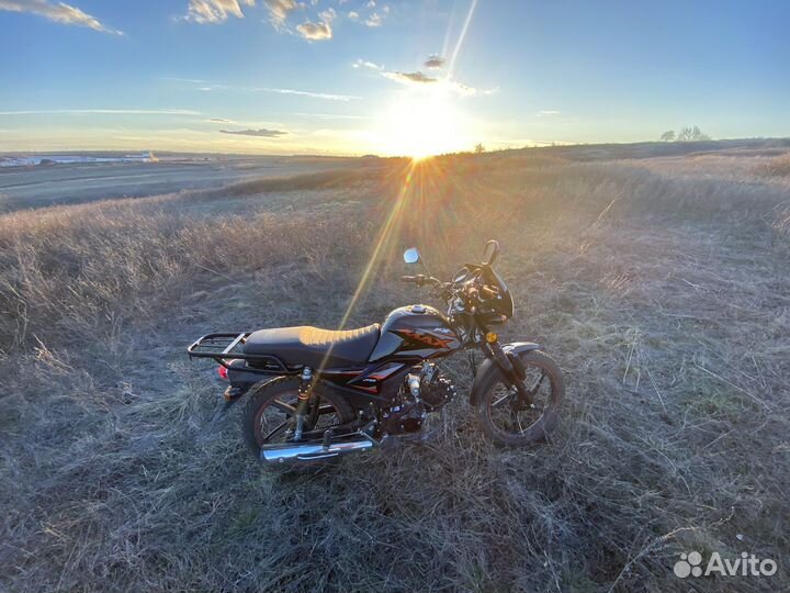 Мопед Alpha fx max 125(50)