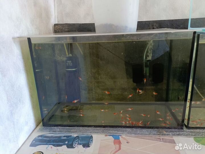 Аквариумы 4 шт, фильтра, компрессора, меченосцы