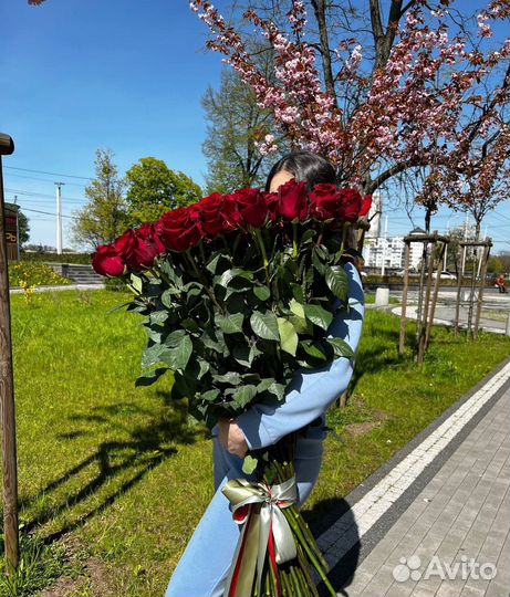 Метровые розы гиганты (100 см.)