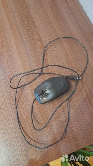 Мышь компьютерная