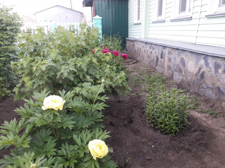 Дом 56,1 м² на участке 8,9 сот.