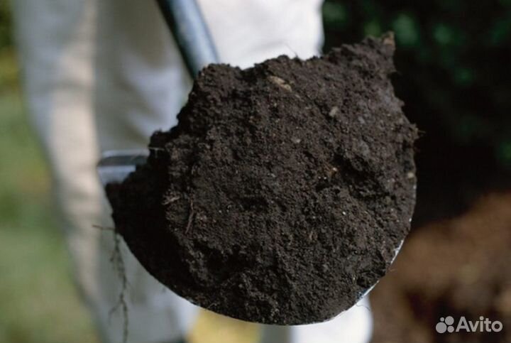 Чернозем доставка день в день