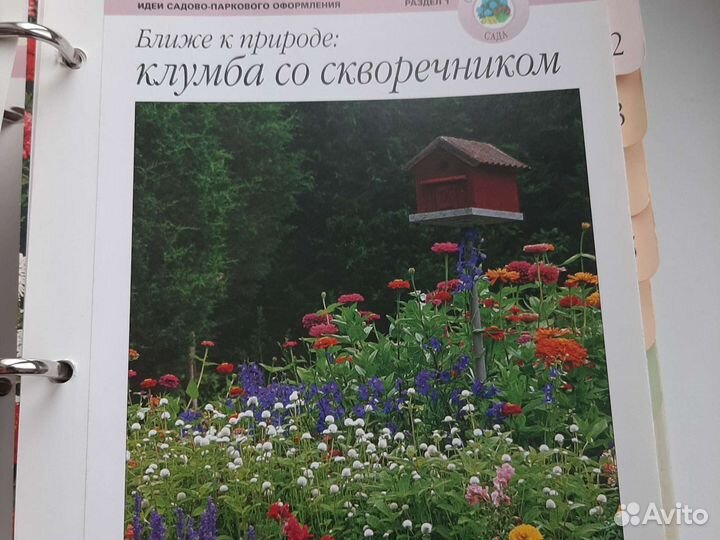 Сад моей мечты
