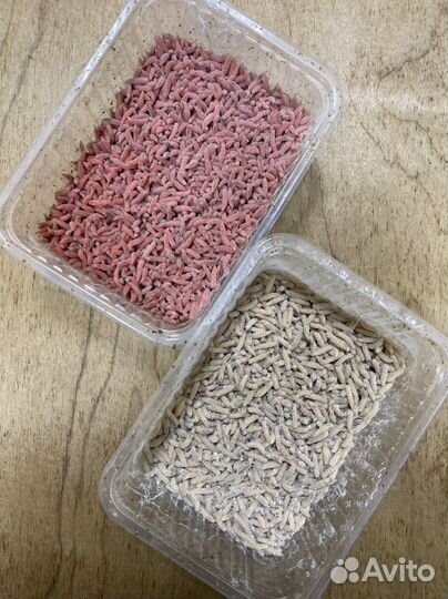 Опарыш оптом