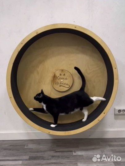 Беговое колесо