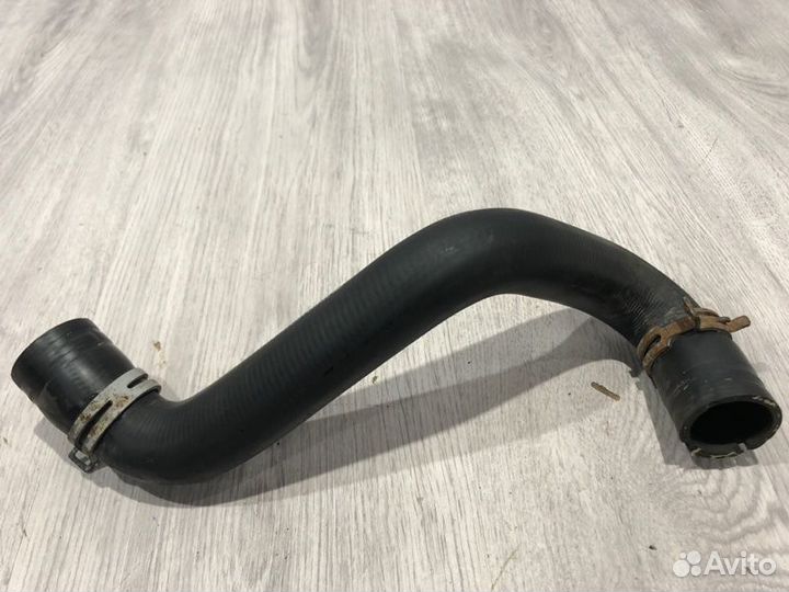 Патрубок радиатора нижний Ford Focus 3 pnda 2011