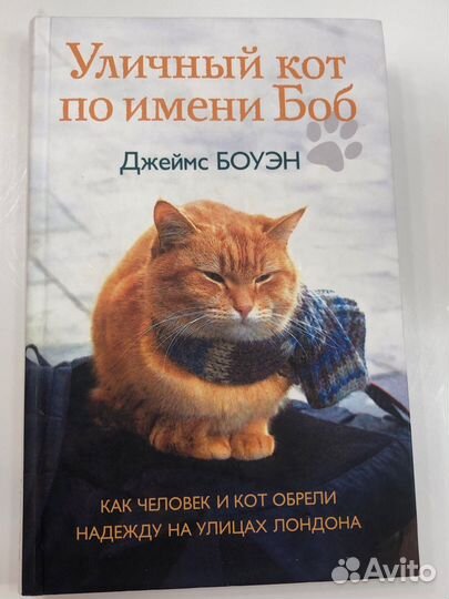 Уличный кот по имени боб