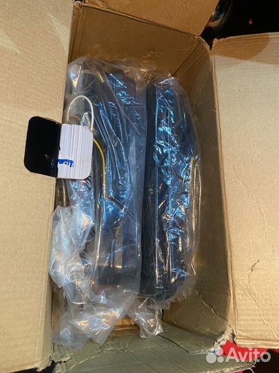 Надфарники нива