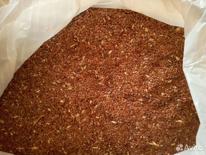 Семена льна