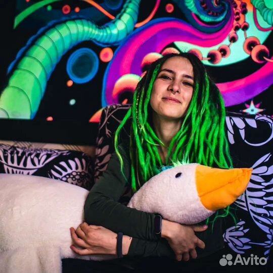 Выгул собак Калининский и Выборгский район