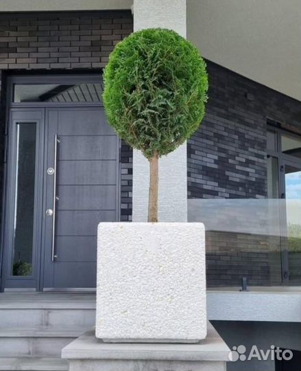 Кашпо из бетона